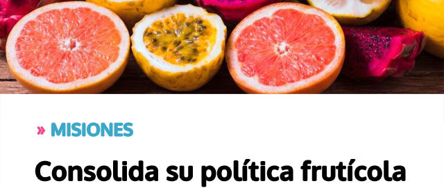 MISIONES: Consolida su política frutícola con planificación e innovación