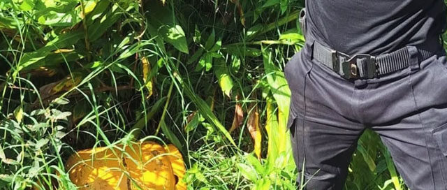 OBERÁ: La policía recuperó objetos robados en distintos operativos