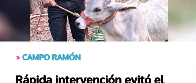 Rápida intervención evitó el hurto de ganado en una chacra