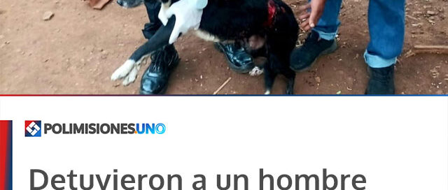 Detuvieron a un hombre acusado de atacar con un machete a un perro